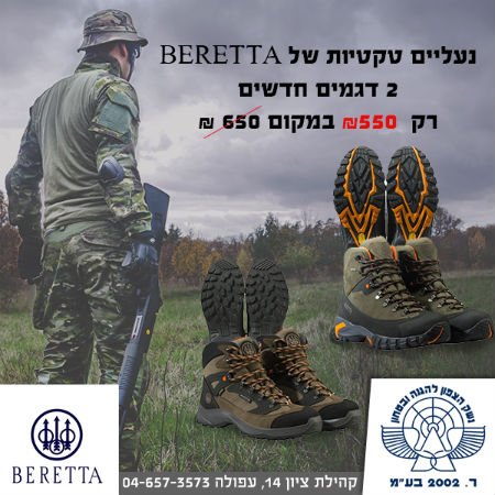 נשק הצפון